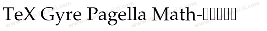 TeX Gyre Pagella Math字体转换